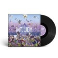 Mt. Joy - Rearrange Us LP ( VINYL )