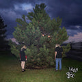 100 gecs - 1000 Gecs LP ( VINYL )