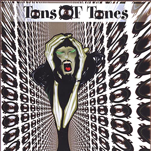 DJ Swamp - Tons Of Tones LP ( VINYL )