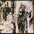 Marvin Gaye - Here My Dear CD ( VINYL )