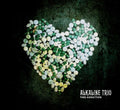 Alkaline Trio - This Addiction LP ( VINYL )