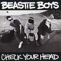 Beastie Boys - Check Your Head CD ( VINYL )