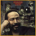 Marvin Gaye - Midnight Love CD ( VINYL )