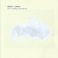 Built to Spill - There's Nothing Wrong with Love CD ( VINYL )