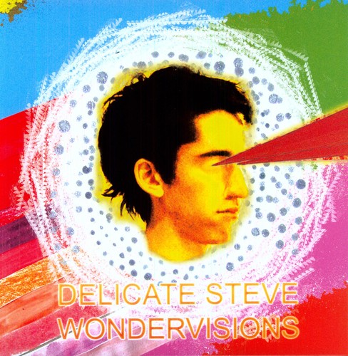 Delicate Steve - Wondervisions LP ( VINYL )