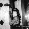 Blood Orange - Coastal Grooves LP ( VINYL )