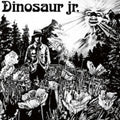 Dinosaur Jr. - S/T (Reissue) ( VINYL )