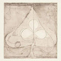Grizzly Bear - Shields: Additions 12" EP (Limited Edition, 180g) ( VINYL )