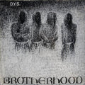 D.Y.S - Brotherhood LP (Colored Vinyl) ( VINYL )