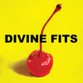 Divine Fits - A Thing Called Divine Fits LP ( VINYL )
