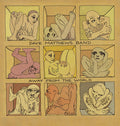 Dave Matthews Band - Away From The World 2LP (150g, Clear Vinyl) ( VINYL )