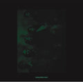 Other Lives - Tamer Animals b/w Other Side 12" ( VINYL )