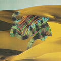 Django Django - S/T 2LP ( VINYL )