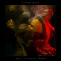 Flying Lotus - Until The Quiet Comes 2LP ( VINYL )