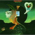 Nick Drake - Pink Moon CD ( VINYL )