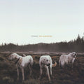 Foxing - Albatross LP ( VINYL )