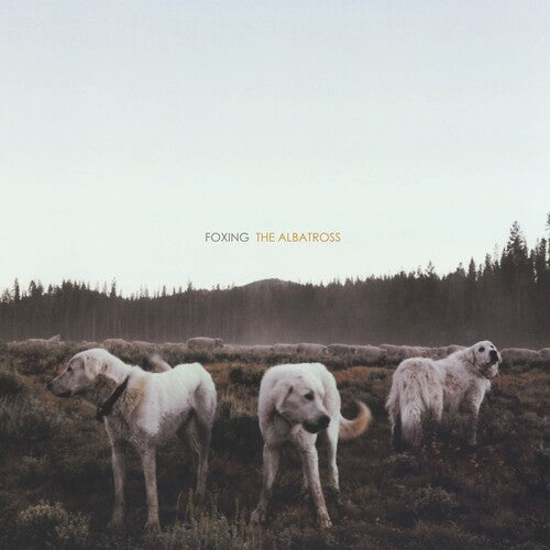 Foxing - Albatross LP ( VINYL )