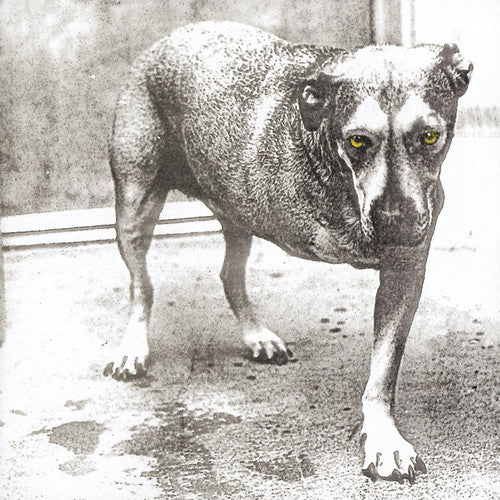 Alice in Chains - Alice in Chains CD ( VINYL )