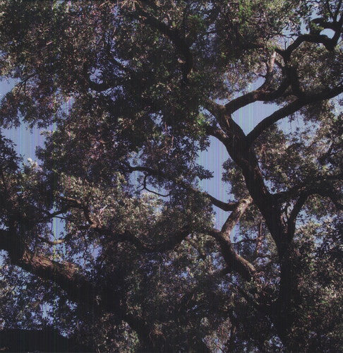 Charles Manson - Trees LP ( VINYL )