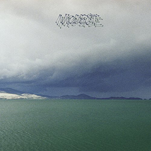 Modest Mouse - The Fruit That Ate Itself LP ( VINYL )