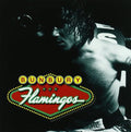 BUNBURY - Flamingos CD ( VINYL )