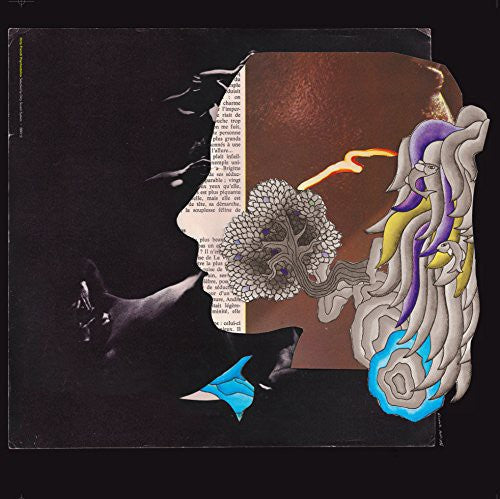 Dirty Sound System - Dirty French Psychedelics LP ( VINYL )