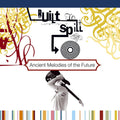 Built To Spill - Ancient Melodies Of The Future LP (Music On Vinyl, 180g, Audiophile, EU Pressing) ( VINYL )