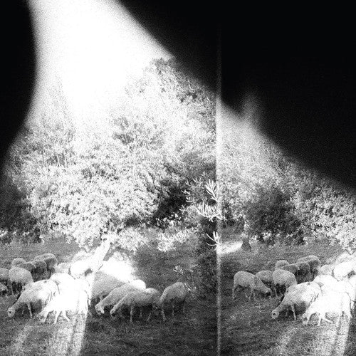 Godspeed You! Black Emperor - Asunder Sweet & Other Distress LP (180 Gram Vinyl) ( VINYL )
