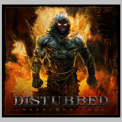 Disturbed - Indestructible LP ( VINYL )