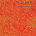 Destruction Unit - Negative Feedback Resistor LP ( VINYL )