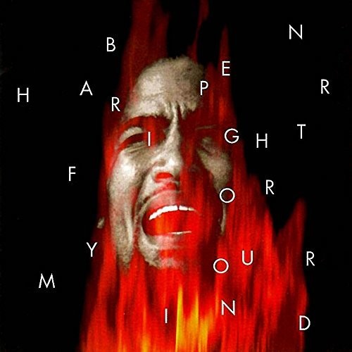 Ben Harper - Fight for Your Mind 2LP ( VINYL )