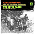 Junior Delgado - Away with You Fussing & Fighting 7" ( VINYL )