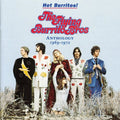 Flying Burrito Brothers - Anthology 1969-1972 CD (Jewel case) ( VINYL )