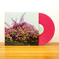 Jay Som - Turn Into LP (180 Gram Vinyl, Limited Edition, Fuchsia Colored Vinyl) ( VINYL )