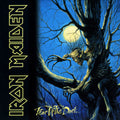 Iron Maiden - Fear Of The Dark 2LP (180g) ( VINYL )
