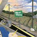 Frankie Cosmos - Next Thing LP ( VINYL )