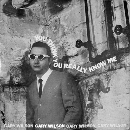 Gary Wilson - You Think You Really Know Me LP ( VINYL )
