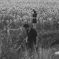 Jesu / Sun Kil Moon - Jesu / Sun Kil Moon 2LP (Gatefold, Black Vinyl) ( VINYL )