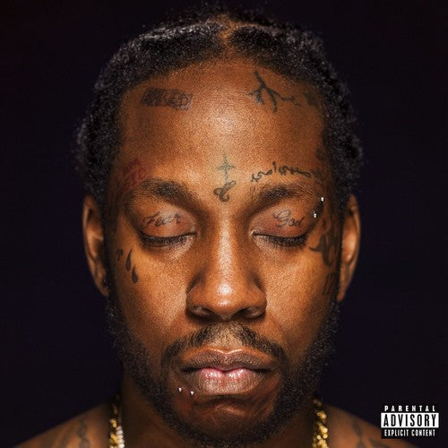 2 Chainz - Collegrove 2LP ( VINYL )