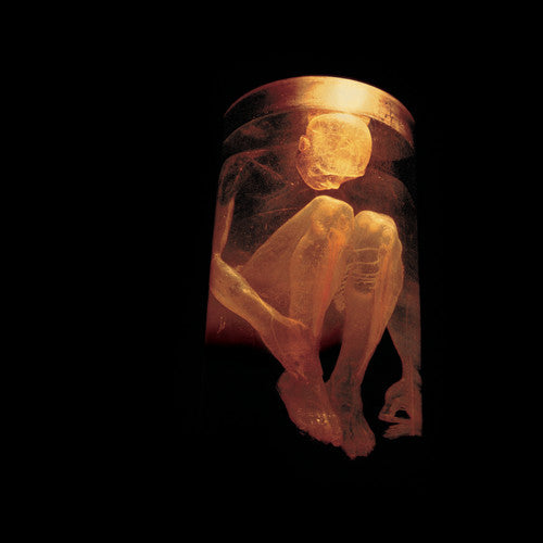 Alice in Chains - Nothing Safe: Best of CD ( VINYL )