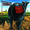 Blink 182 - Dude Ranch LP (180g) ( VINYL )
