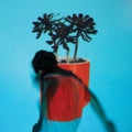 Local Natives - Sunlit Youth LP ( VINYL )