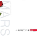 30 Seconds to Mars - A Beautiful Lie LP ( VINYL )