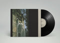 Dead Can Dance - Within The Realm Of A Dying Sun LP ( VINYL )