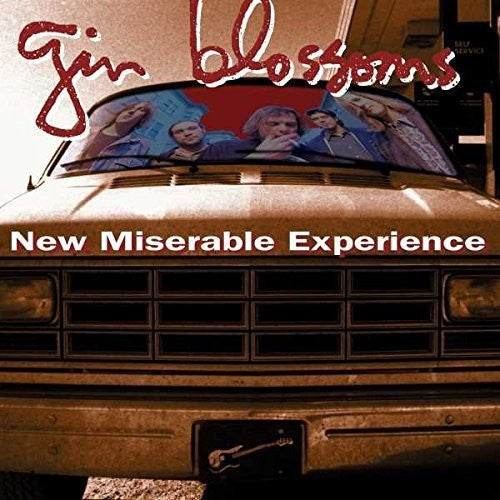 Gin Blossoms - New Miserable Experience LP ( VINYL )