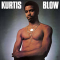 Kurtis Blow - Kurtis Blow "The Breaks" LP ( VINYL )