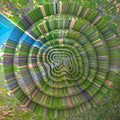 Aphex Twin -  Collapse LP (Bonus Track, Extended Play) ( VINYL )