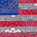 Joey Badass - All-Amerikkkan Bada$$ CD ( VINYL )