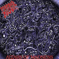 Morbid Angel - Altars Of Madness CD (Explicit Lyrics, Digipack Packaging) ( VINYL )