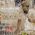 Easy Star All-Stars - Radiodread 2LP (Special Edition) ( VINYL )